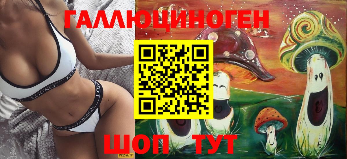 Галлюциногенные грибы Psilocybine cubensis Полысаево